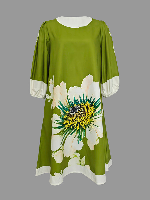 Flower Print Pleated A-Line Loose Round-Neck Mini Dresses