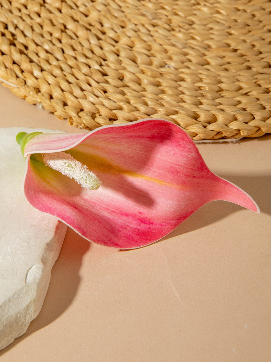1798306