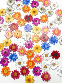 Colorful Daisy Pattern Buttons